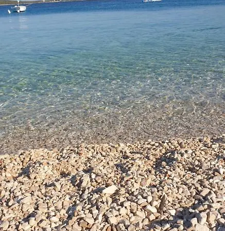 Marko-sevid-20m From The