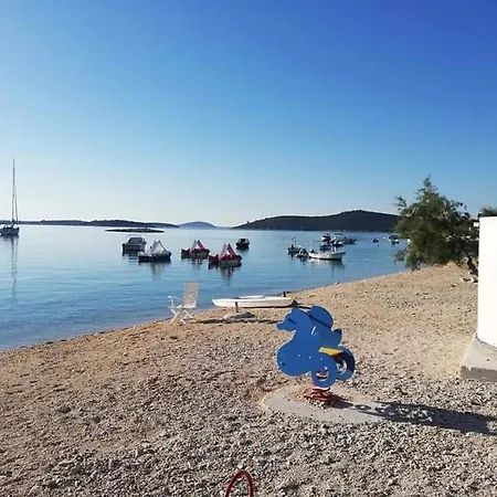 Marko-sevid-20m From The * Sevid