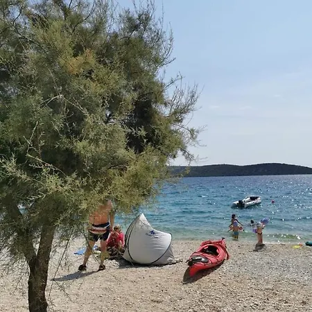 Marko-sevid-20m From The