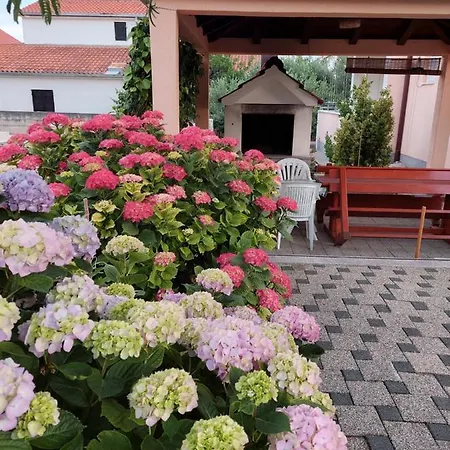 Marko-sevid-20m From The Sevid