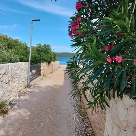 Apartment Marko-sevid-20m From The