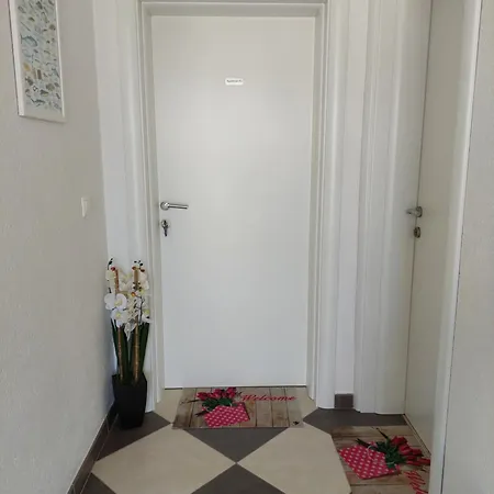 Marko-sevid-20m From The Apartman *