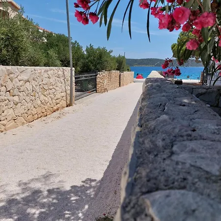 Marko-sevid-20m From The * Sevid