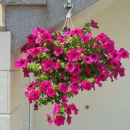 Marko-sevid-20m From The Sevid